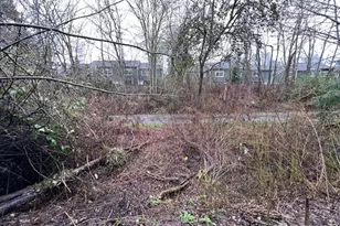 4053 NE 55th St, Seattle, WA 98105 - Photo 18