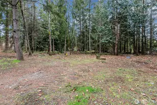 19015 219th Ave Ct E, Orting, WA 98360 - Photo 24