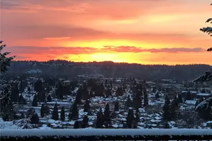 10602 SE 325th Pl, Auburn, WA 98092 - Photo 38