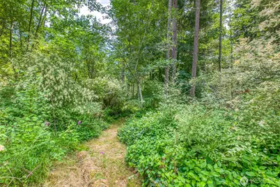 31 Colgan Creek Road, Orcas Island, WA 98245 - Photo 38