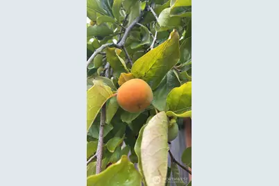 1013 233rd Place NE, Sammamish, WA 98074 - Photo 40