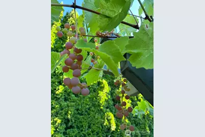 1013 233rd Place NE, Sammamish, WA 98074 - Photo 38