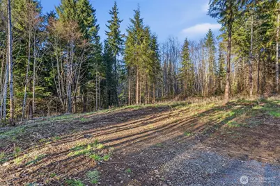 217 Durins Place, Castle Rock, WA 98611 - Photo 10