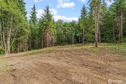 217 Durins Place, Castle Rock, WA 98611 - Photo 6