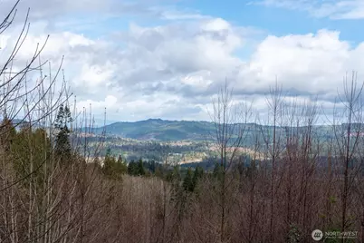 1556 Kool Road, Kelso, WA 98626 - Photo 34