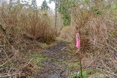 0 Nhn Polnell Road, Oak Harbor, WA 98277 - Photo 14