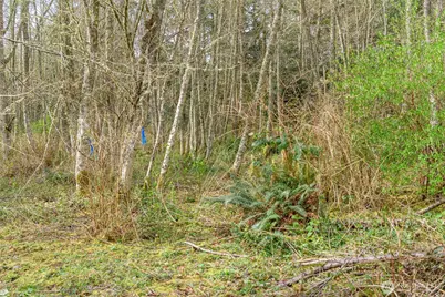 0 Nhn Polnell Road, Oak Harbor, WA 98277 - Photo 16