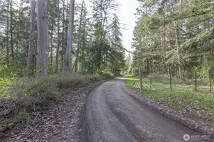 314 Stellar Ridge Ln, Sequim, WA 98382 - Photo 40