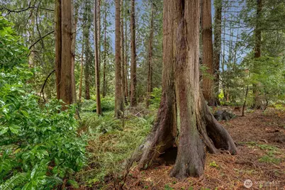13715 51st Avenue W, Edmonds, WA 98026 - Photo 34