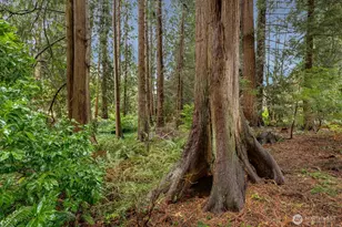 13715 51st Ave W, Edmonds, WA 98026 - Photo 34
