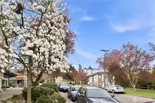 3045 20th Ave W, Seattle, WA 98199 - Photo 22