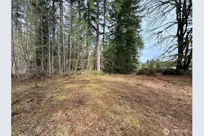 246 Calvin Road, Cinebar, WA 98533 - Photo 30