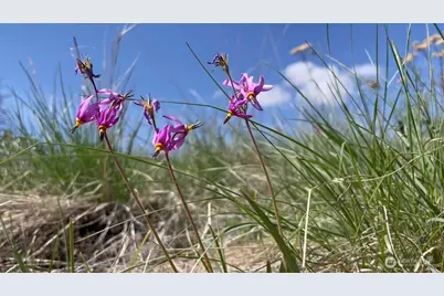 436 Antoine Creek Road #Lot I, Chelan, WA 98816 - Photo 16