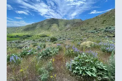 436 Antoine Creek Road #Lot I, Chelan, WA 98816 - Photo 2
