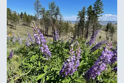 436 Antoine Creek Road #Lot I, Chelan, WA 98816 - Photo 14