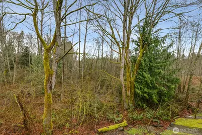 18930 Bothell-Everett Highway #T-101, Bothell, WA 98012 - Photo 4