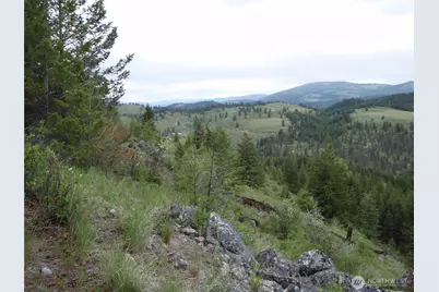 0 Edgewood Lane, Curlew, WA 99118 - Photo 4