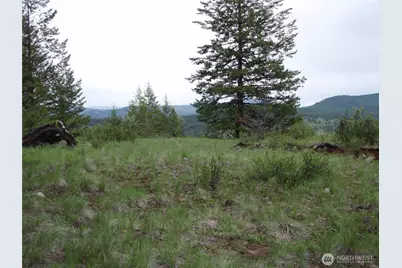 0 Edgewood Lane, Curlew, WA 99118 - Photo 1