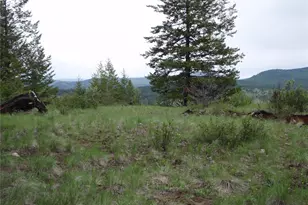 0 Edgewood Ln, Curlew, WA 99118 - Photo 1