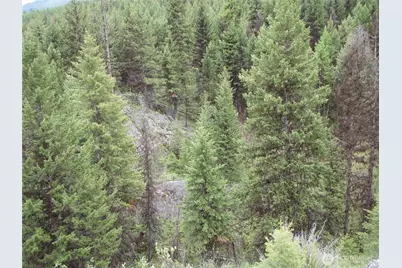 0 Edgewood Lane, Curlew, WA 99118 - Photo 2