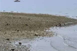 29020 1st Ave S, Des Moines, WA 98198 - Photo 2