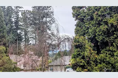 8111 46th Place W #C1, Mukilteo, WA 98275 - Photo 16