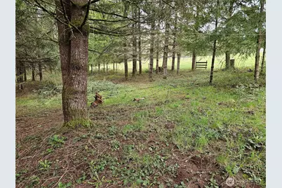 190 Tamaracks Drive, Onalaska, WA 98570 - Photo 26