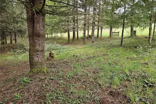 190 Tamaracks Dr, Onalaska, WA 98570 - Photo 26