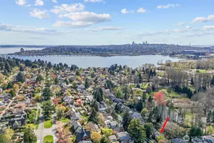 4181 42nd Ave NE, Seattle, WA 98105 - Photo 38