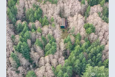 50 Raspberry Road, Elma, WA 98541 - Photo 24