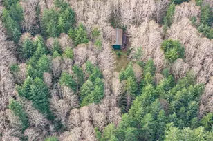 50 Raspberry Rd, Elma, WA 98541 - Photo 24