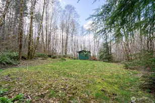 50 Raspberry Rd, Elma, WA 98541 - Photo 20