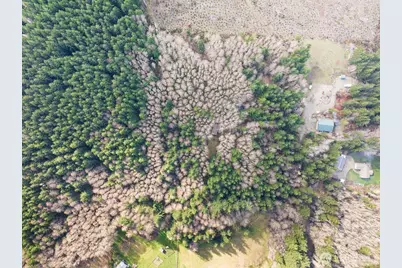 50 Raspberry Road, Elma, WA 98541 - Photo 22