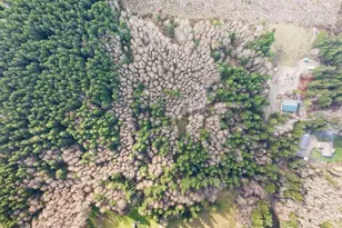 50 Raspberry Rd, Elma, WA 98541 - Photo 22