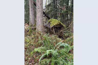 12313 150th Street NE, Arlington, WA 98223 - Photo 4