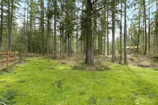 46009 SE 130th Pl, North Bend, WA 98045 - Photo 22