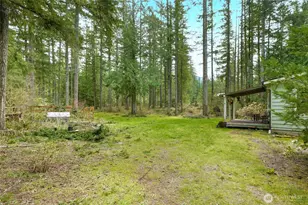 46009 SE 130th Pl, North Bend, WA 98045 - Photo 20