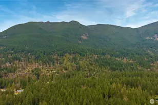 46009 SE 130th Pl, North Bend, WA 98045 - Photo 28