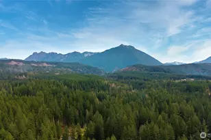 46009 SE 130th Pl, North Bend, WA 98045 - Photo 26