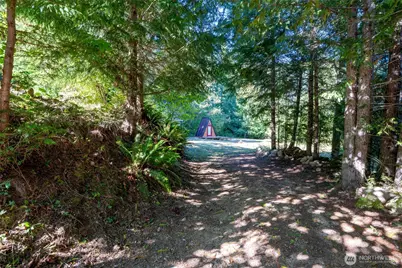 31729 558th St E, Ashford, WA 98304 - Photo 2