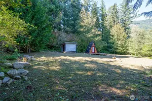 31729 558th St E, Ashford, WA 98304 - Photo 1