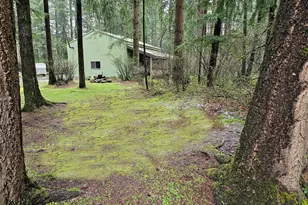 16727 Littlerock Rd SW, Rochester, WA 98579 - Photo 26