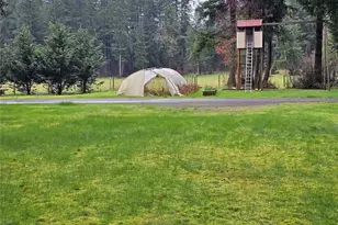 16727 Littlerock Rd SW, Rochester, WA 98579 - Photo 6