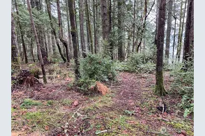 0 Bear Street, Shelton, WA 98584 - Photo 1
