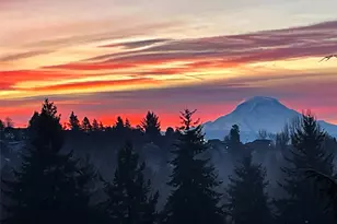 3619 Nassau Ave NE, Tacoma, WA 98422 - Photo 30