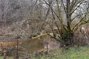 310 Butte Creek Rd, Raymond, WA 98577 - Photo 24