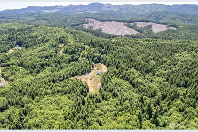 327 Parpala Road, Naselle, WA 98638 - Photo 36