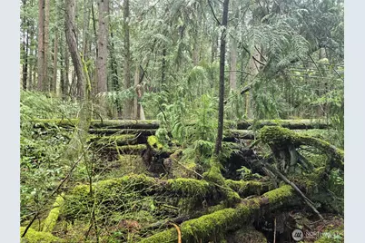 17425 McElroy Road, Arlington, WA 98223 - Photo 22