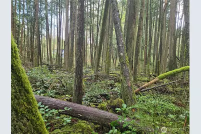 17425 McElroy Road, Arlington, WA 98223 - Photo 28