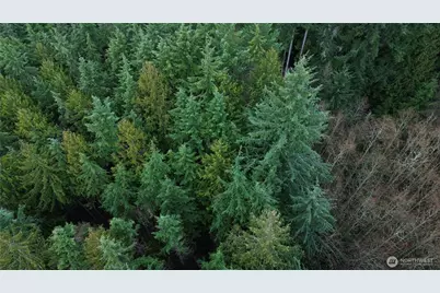 17425 McElroy Road, Arlington, WA 98223 - Photo 18